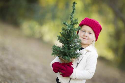 9 Best Christmas Tree Farms in Nebraska!
