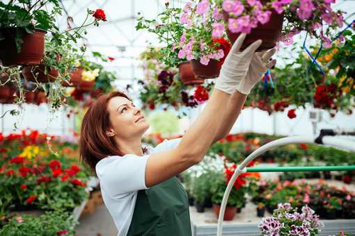 9 Best Garden Centers and Nurseries in Nebraska!
